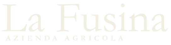 La Fusina logo