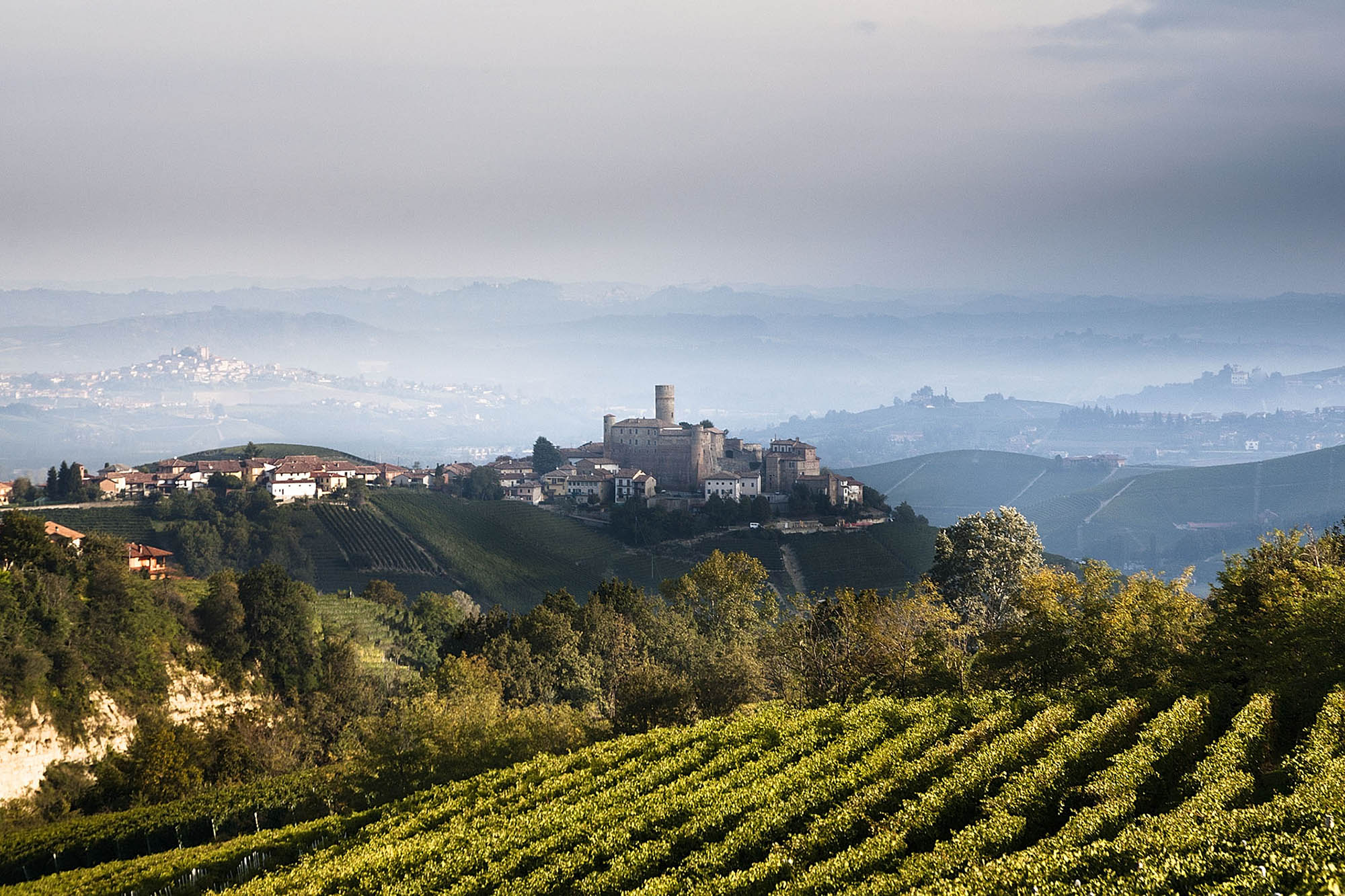 vigne-serralunga