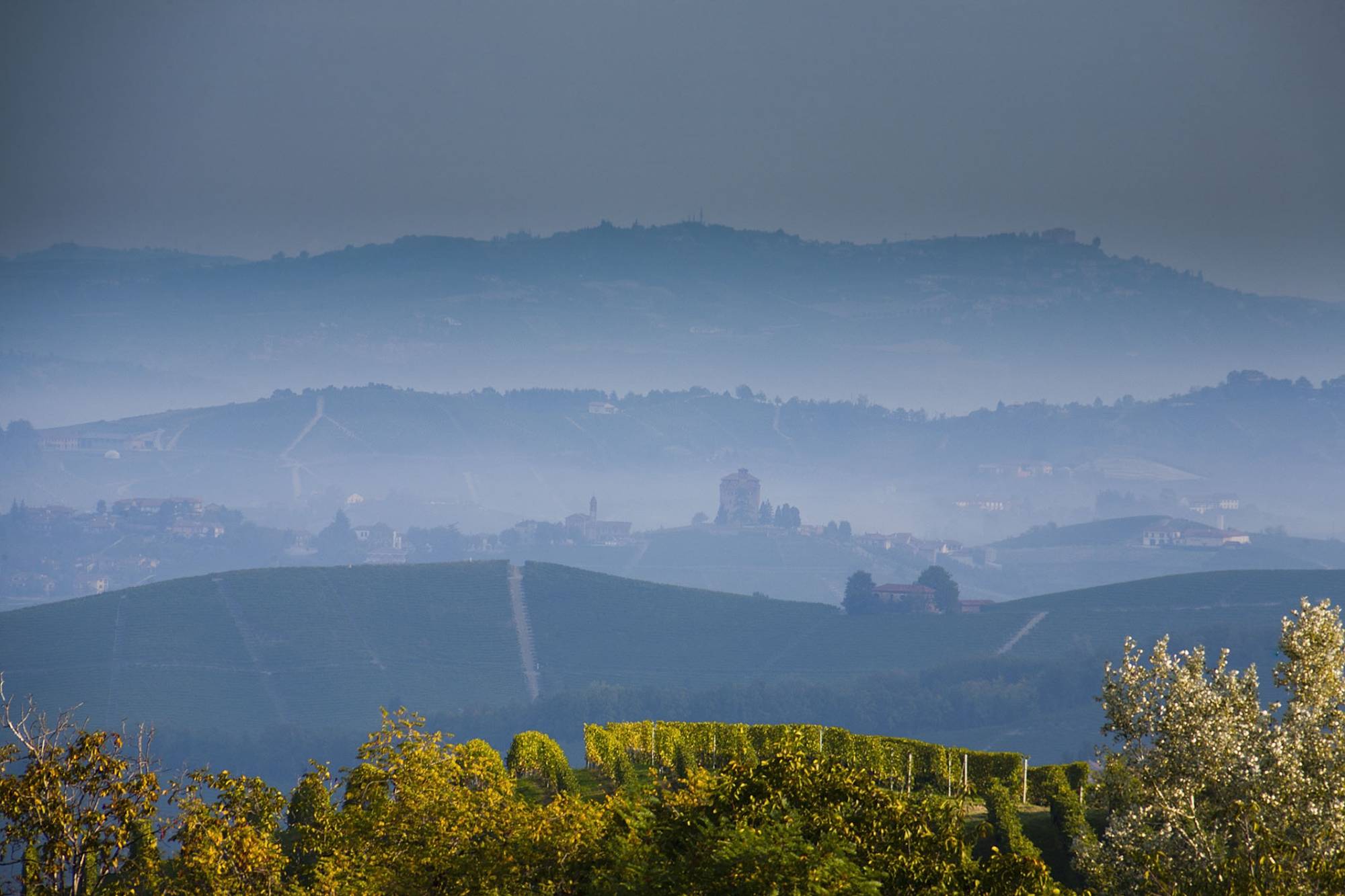 _MG_9673-2