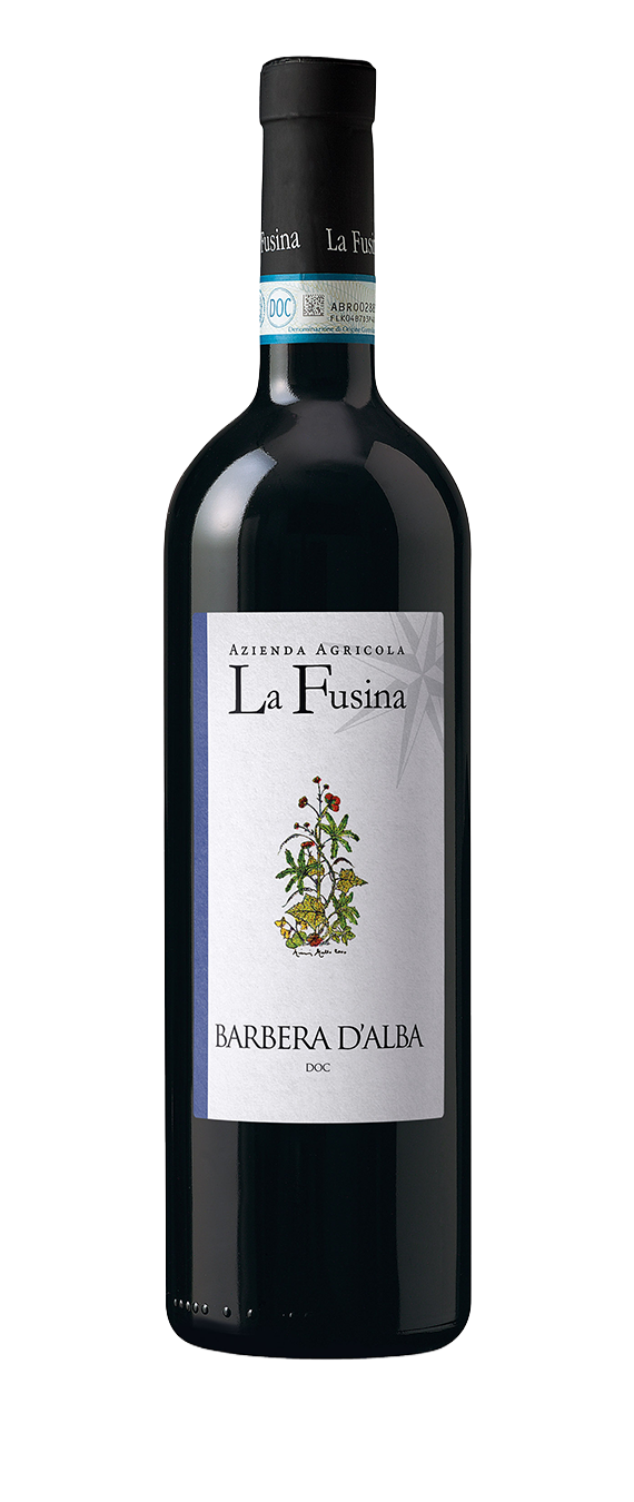 barbera-alba